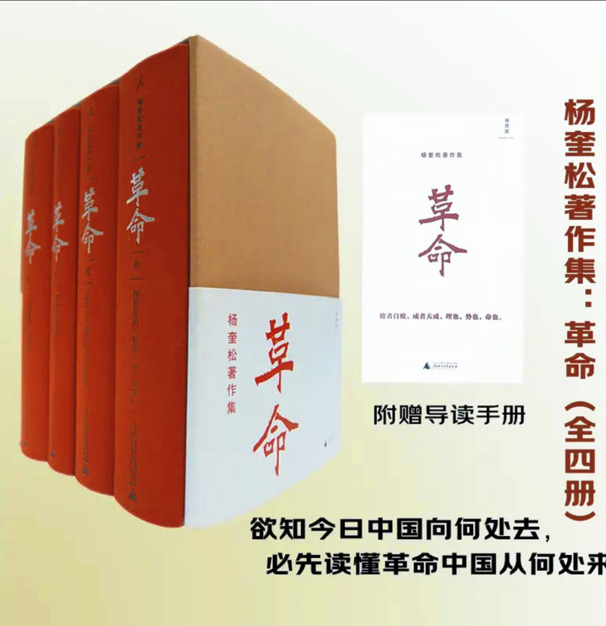 革命 杨奎松著作集（套装4册）现当代史研究里程碑之作